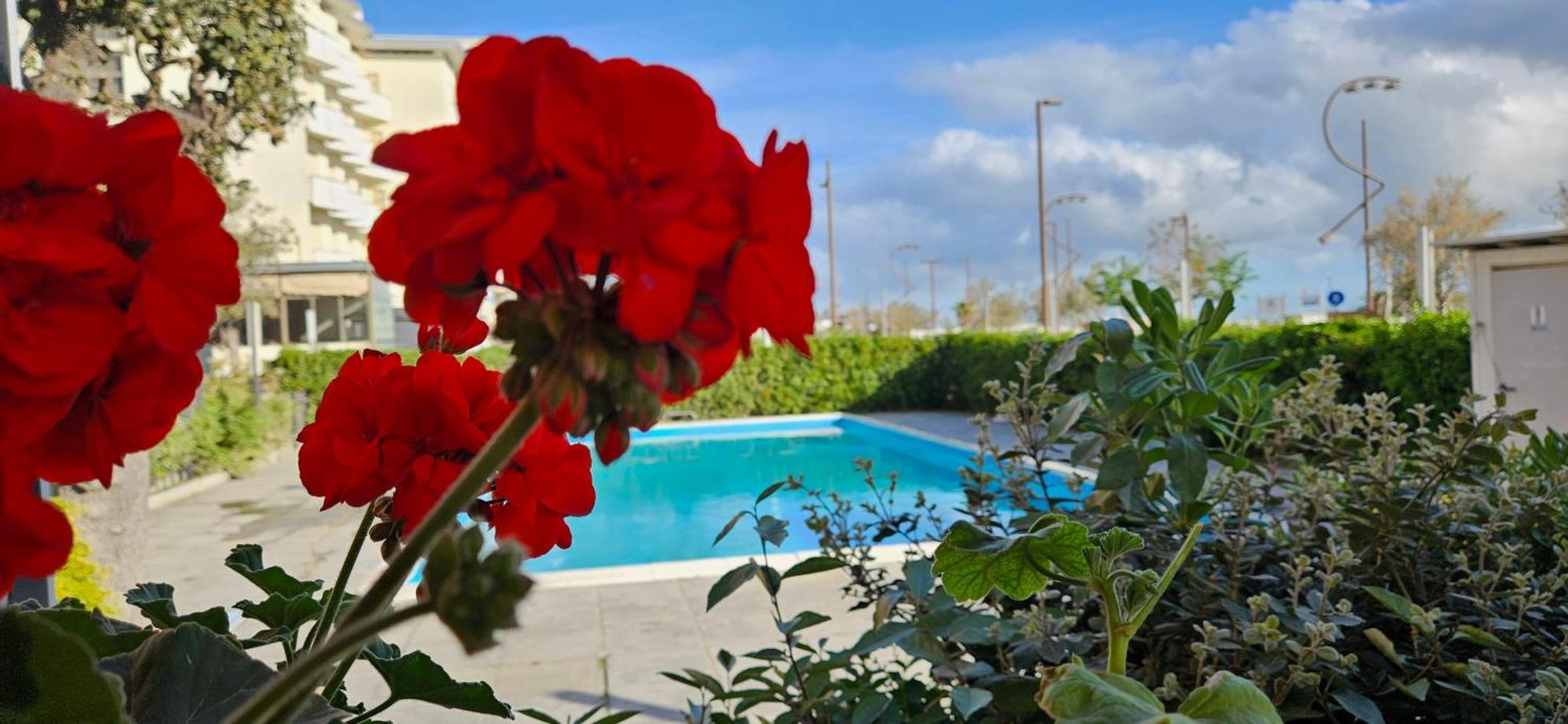 Park Hotel Rimini Bagian luar foto